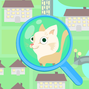 Найдена кошка. Что делать если нашли кошку?