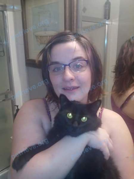 Чёрный взрослый кот Itty, пропал 05.05.2017 рядом с 9006-9010 Prince Charles Blvd, Surrey, BC V3V 1R5, Canada.