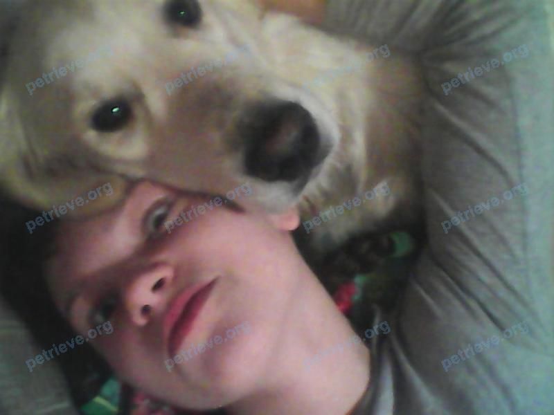 Medium adult white female dog кери, lost near ул. Мате Залки, 11, Красноярск, Красноярский край, Россия, 660127 on Feb 26, 2018.