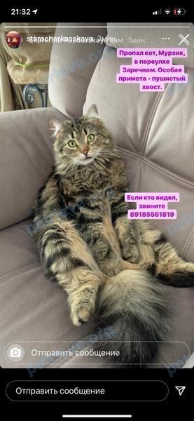 Medium adult brown male cat Мурзик, lost near 1-я Слободская ул., 32, Старочеркасская, Ростовская обл., Россия, 346701 on Jun 27, 2021.
