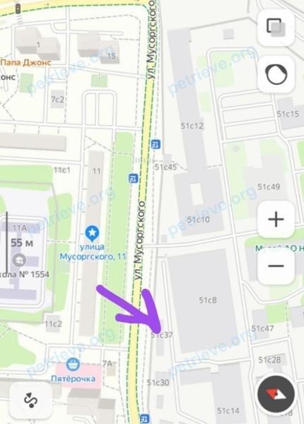 Medium young green male bird Гринч, lost near Алтуфьевское ш., 70к1, Москва, Россия, 127549 on Jun 17, 2023.